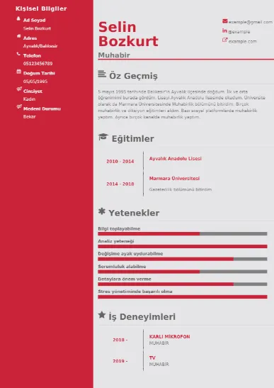 Muhabir örnek cv indir